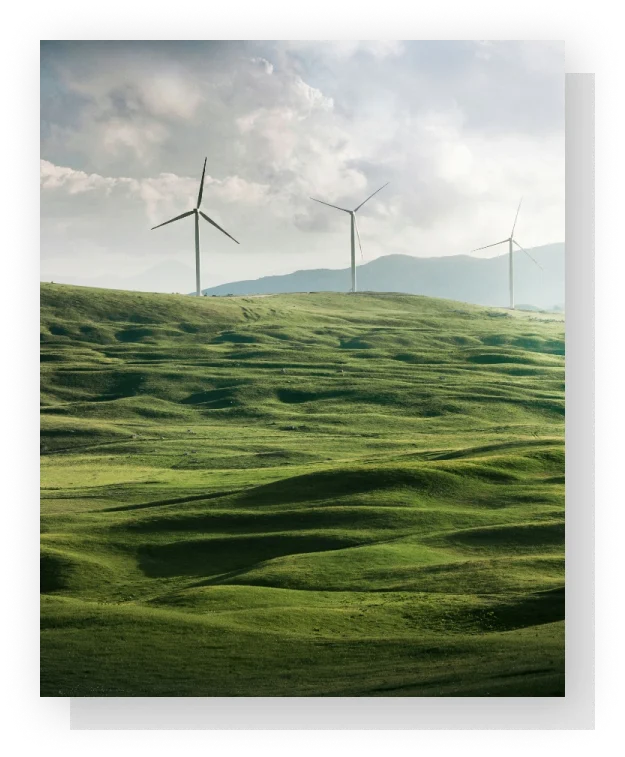 Sustainability